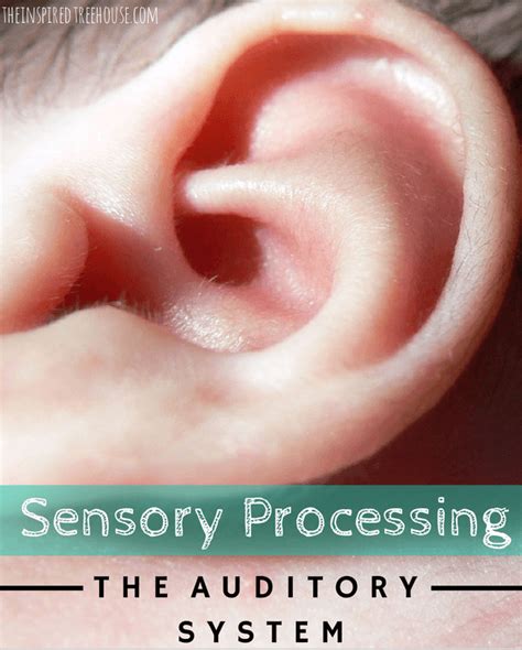 sensory processing explained artofit