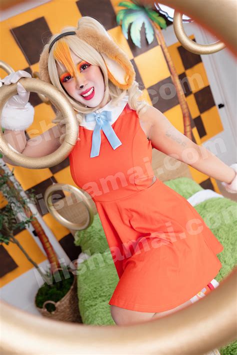 cream  rabbit  sonic  hedgehog bodypaint print mishamai