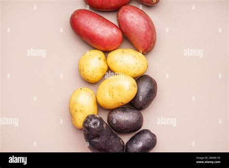 types  potatoes  res stock photography  images alamy