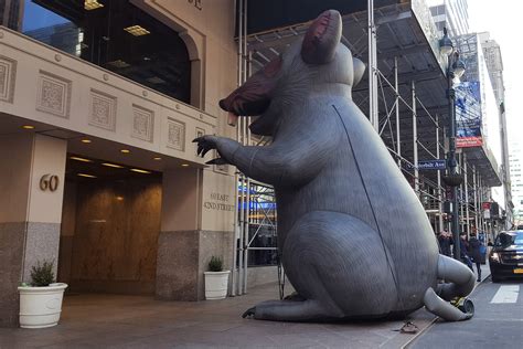 The inflatable rat wins — for now