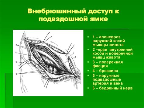 Гнойные процессы в обширных клетчаточных пространствах и в железистых ...