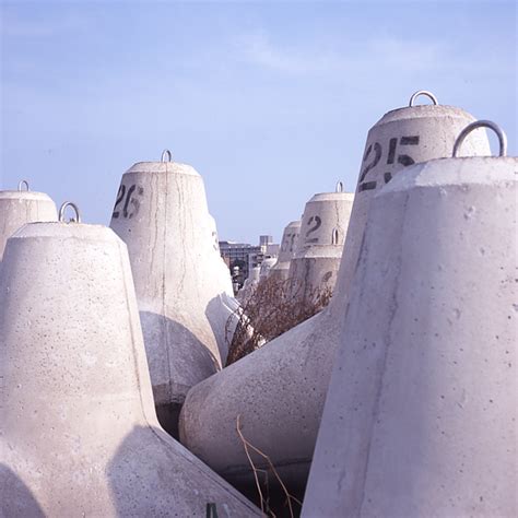tetrapods.jpg
