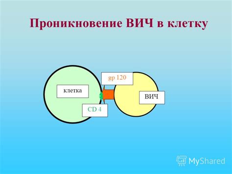 Презентация на тему: "Урок - конференция 10 класс. Урок - конференция ...