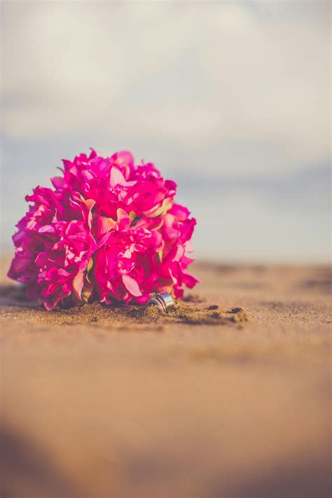 Colour - Fresh Coast Colour Trends for 2025 Bringing a Fresh Splash of