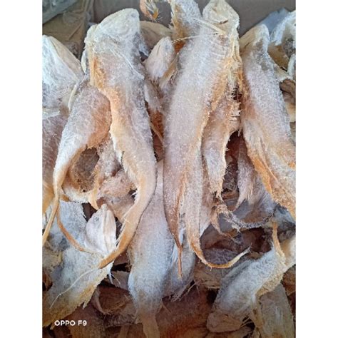 📍📍ikan gonjeng masin local📍📍💯 | Shopee Malaysia