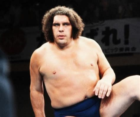 andre  giant profile match listing internet wrestling