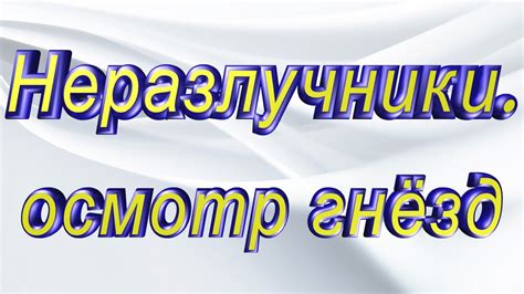 #неразлучники осмотр гнезд. - YouTube