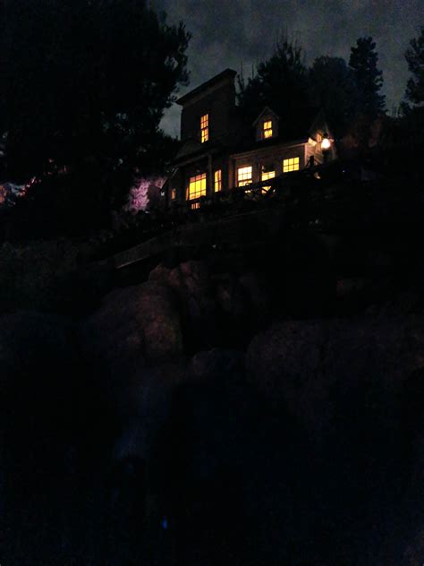 Was testing out new night mode feature on my phone with the tree last