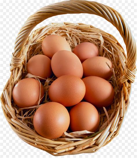 telur ayam png  koleksi gambar