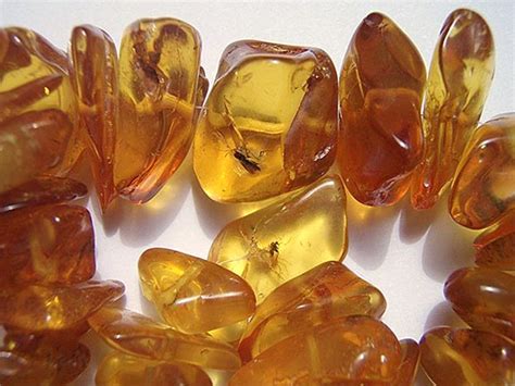 Prehistoric Amber Lovers Traded the Gem Through a Vast Mediterranean ...