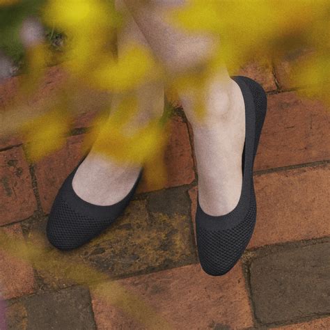 high tops  women allbirds