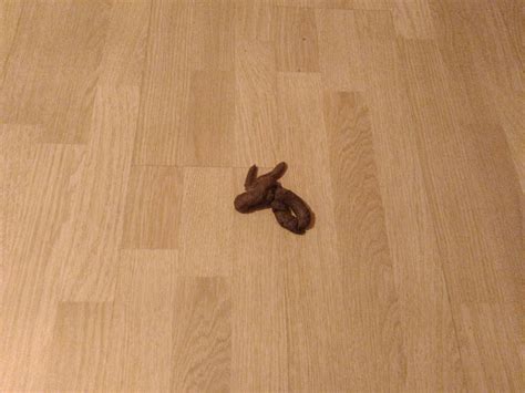 Create meme "vinyl laminate, parquet Board, laminate" - Pictures - Meme ...