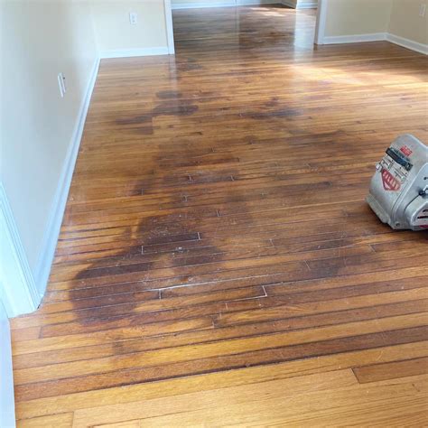how to remove old dog urine stains from hardwood floors
