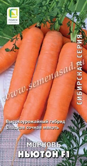 Морковь Ньютон F1 1 гр сибирская серия артикул: 135418 | Интернет ...