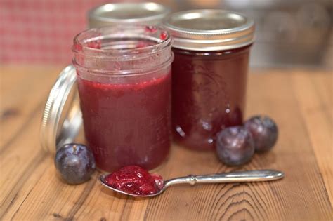 Plum Jelly Recipe (+Time-Saving Trick) — Homesteading Family