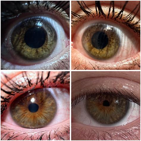hazel eyes  based  lighting rmildlyinteresting