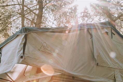 The Curious Traveller - Caitlin Ann