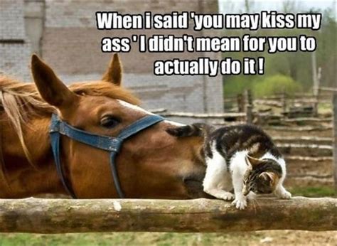 21 Cute Memes That Prove That Kissing Is Great: Mind Your Lips