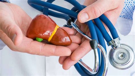 Qual O Médico Que Cuida De Gordura No Fígado - Gordura no fígado: sintomas, sinais de alerta e importância do ...
