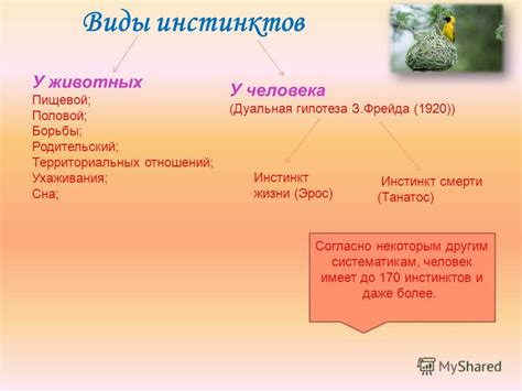 Презентация на тему: "ИНСТИНКТ". Скачать бесплатно и без регистрации.