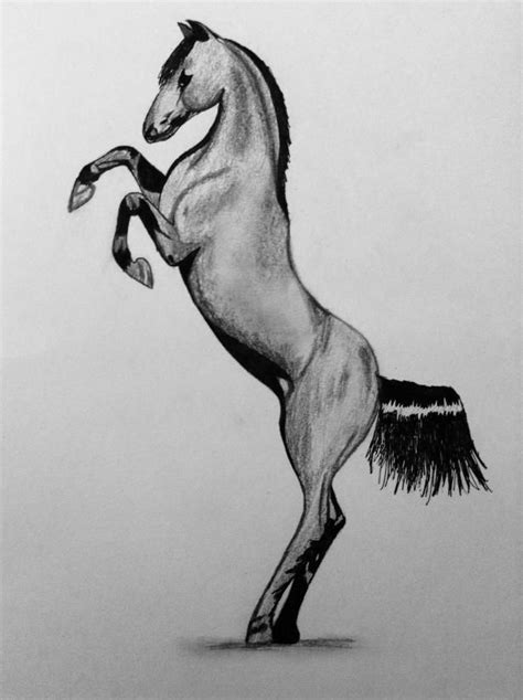 Как нарисовать реалистичную лошадь на дыбах поэтапно | Humanoid sketch ...
