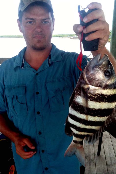 Fishing for Sheepshead - How to Catch Sheepshead | Fishing from Florida