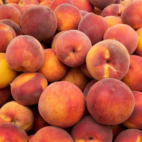 Do Black Boy Peaches Ripen Off The Tree at Terri Barnett blog