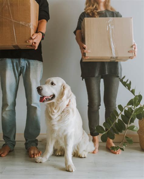 Cobb Amos Estate Agents | Finding the Right Removal Firm for Your Move
