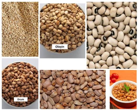 beans siwonder foods