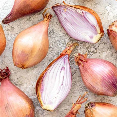 shallots jessica gavin