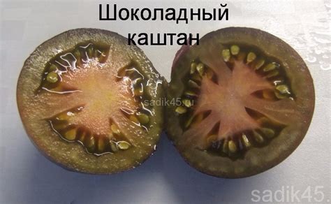Томат Каштановый шоколад: описание сорта, ОТЗЫВЫ, фото, урожайность ...