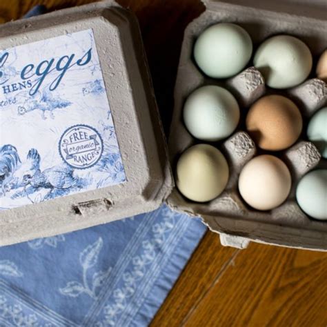 10 Vintage Egg Cartons - Vintage Style Full Dozen - Blank Top - Carton ...