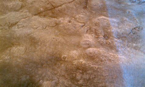 69 Epoxy Overlay Concrete Floor ideas | handcrafted art, concrete