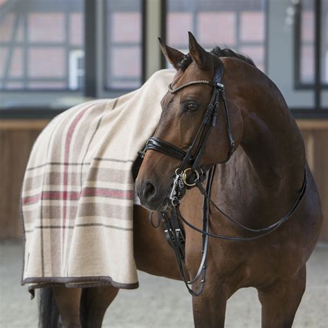 Horse Blanket No. 01 – Finnish Equestrian Company