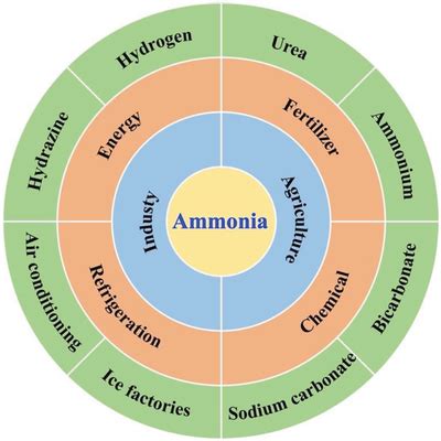 Schematic overview of ammonia applications in modern society ...