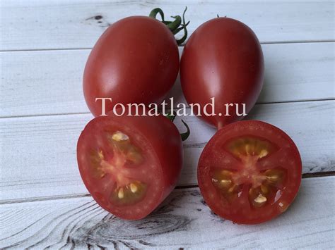 Томат Малиновое пламя: описание, ОТЗЫВЫ (7), фото