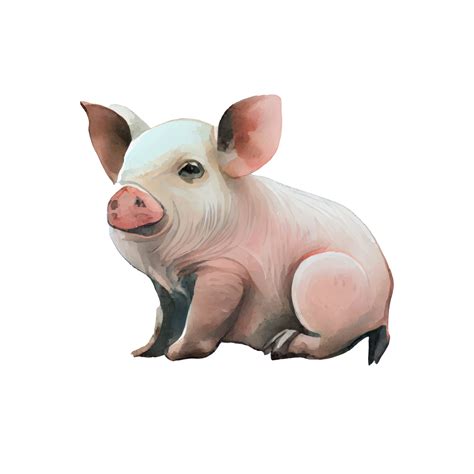 cartoon drawings of pigs 1