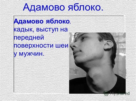 Презентация на тему: "Презентация к уроку по русскому языку во 2 классе ...