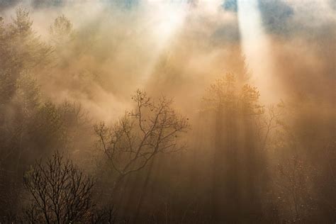 Fatigue and burnout: A few tips to guide you through the fog