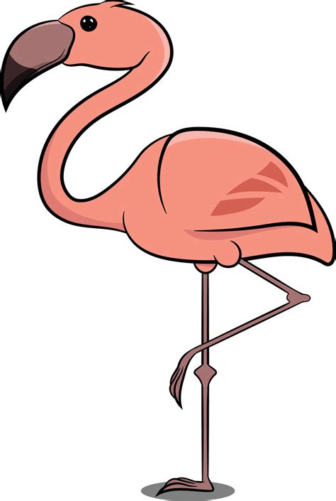 Flamingo Standing on 1 Leg. Pink Bird. Common Birds. 3042279 Vector Art ...