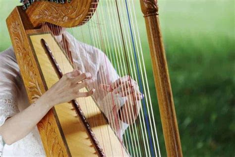 popular types  harps explained