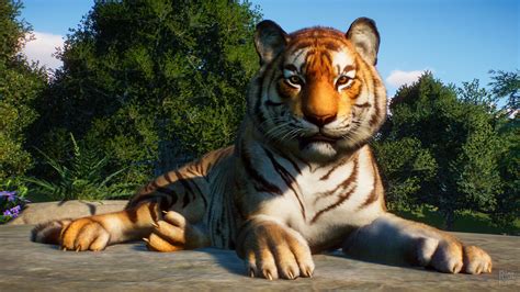 Скачать Planet Zoo торрент бесплатно