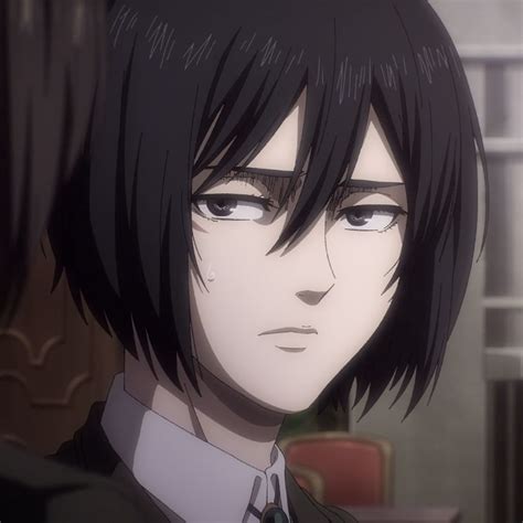 Pin by Bʟɪɴᴄʜɪᴋ on Attack on titan | Mikasa, Attack on titan anime ...