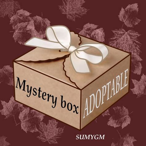 ADOPT MYSTERY BOX - YCH.Commishes