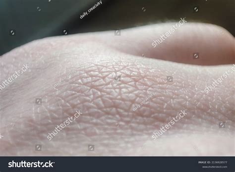 closeup human skin texture macro hand stock photo  shutterstock