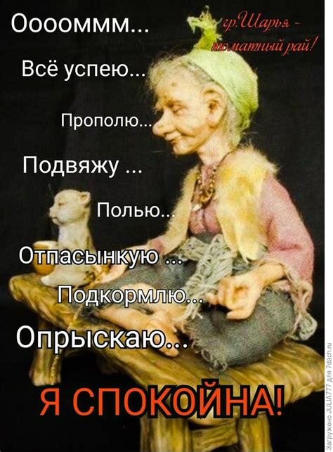 Дачный юмор