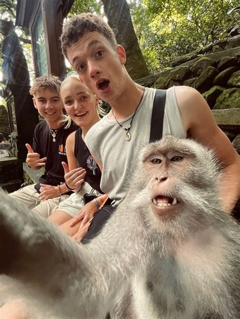 monkey selfie  ubud bali