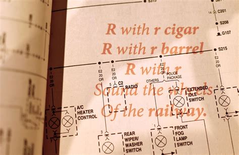 The History of Language — Savannah Bustillo