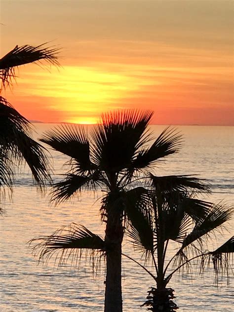 Travelers are debating the safety of puerto penasco this year 7