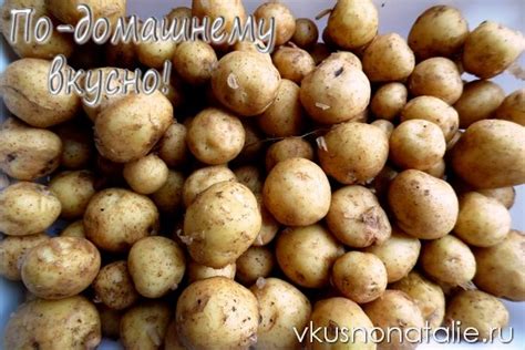 Запеченный молодой картофель